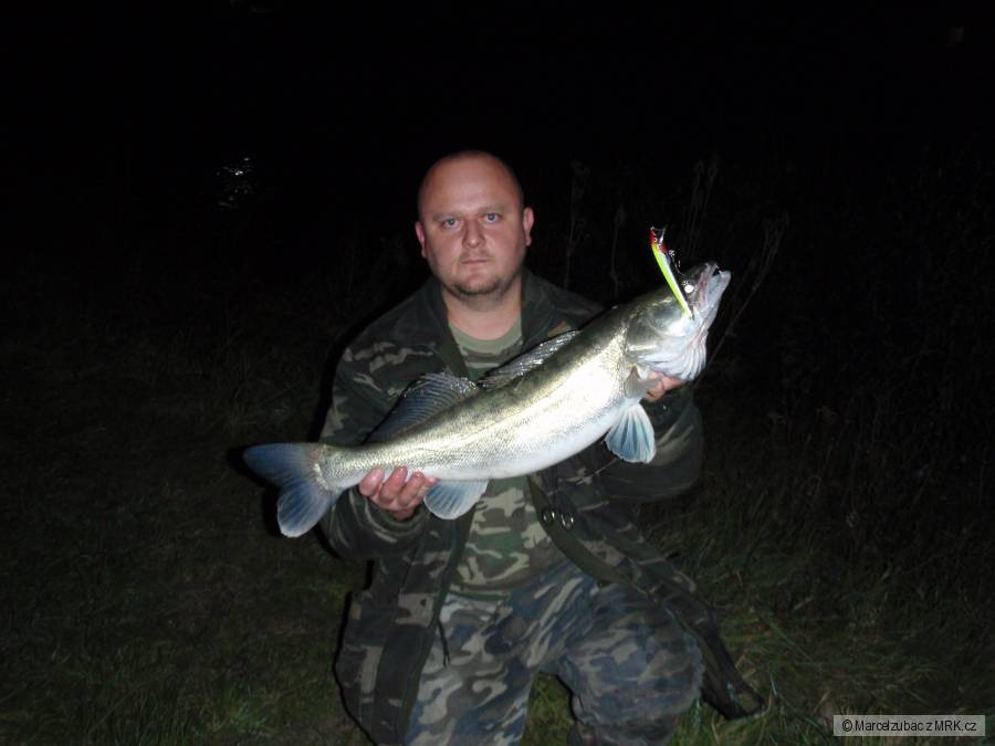 Zubáč 73cm Husky 13cm