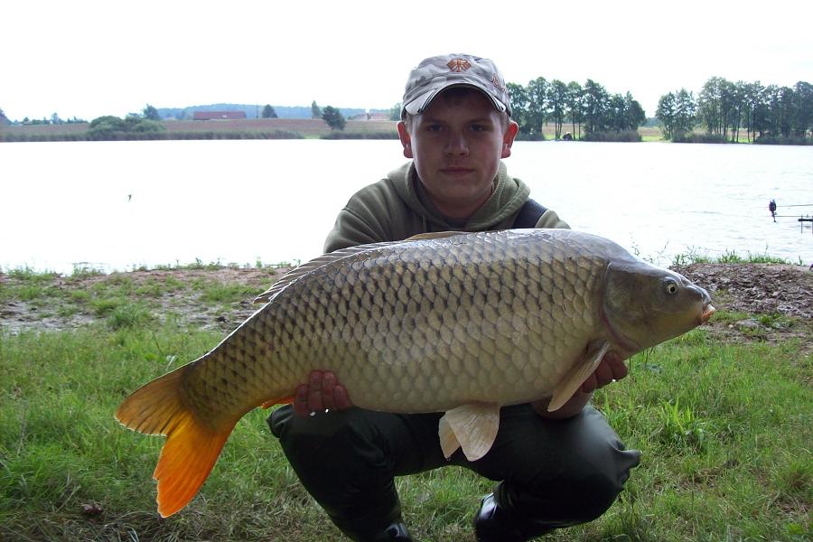 kapr 82cm a 9,90kg