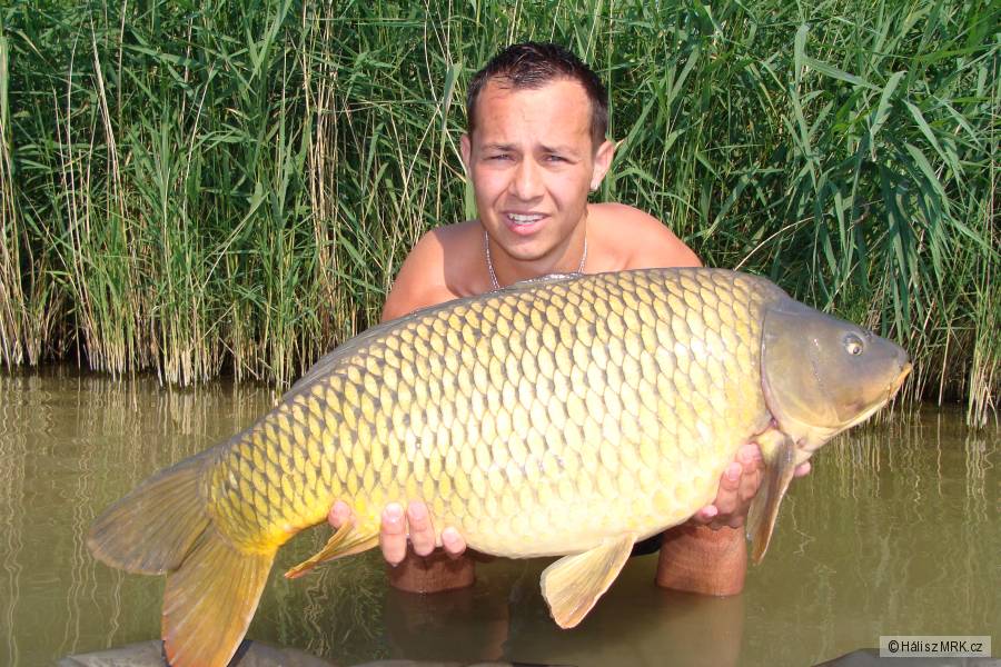 78cm 11,5kg