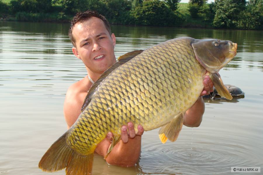 78cm 11,5kg