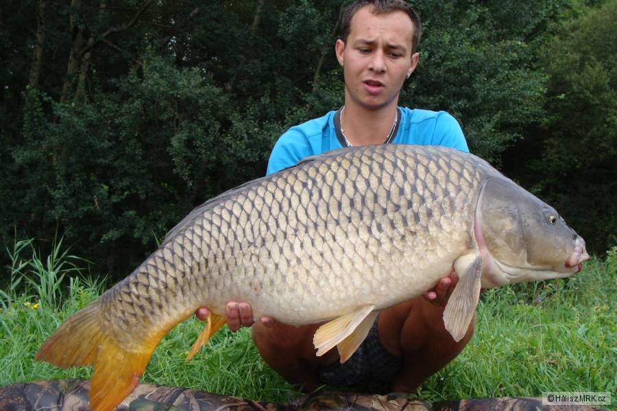 13,5kg 91cm