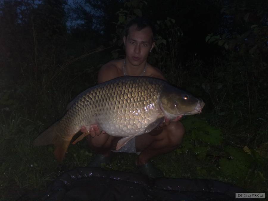 9,5kg