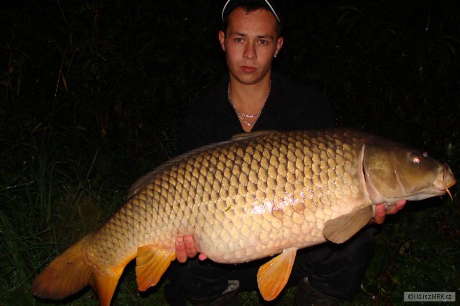 11,7kg 87cm