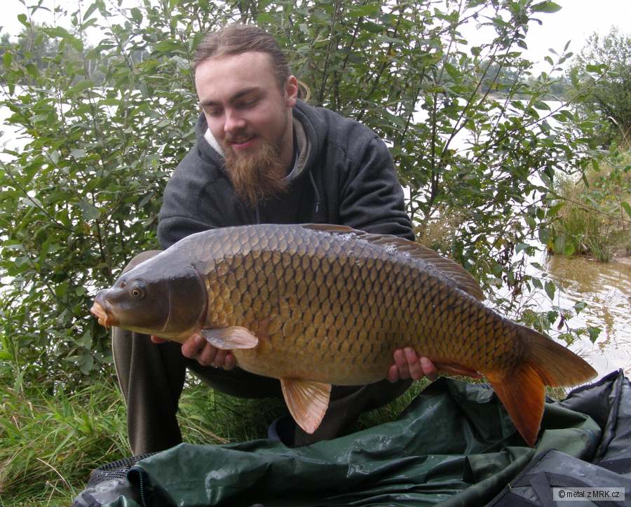 82cm 9 kg 2010