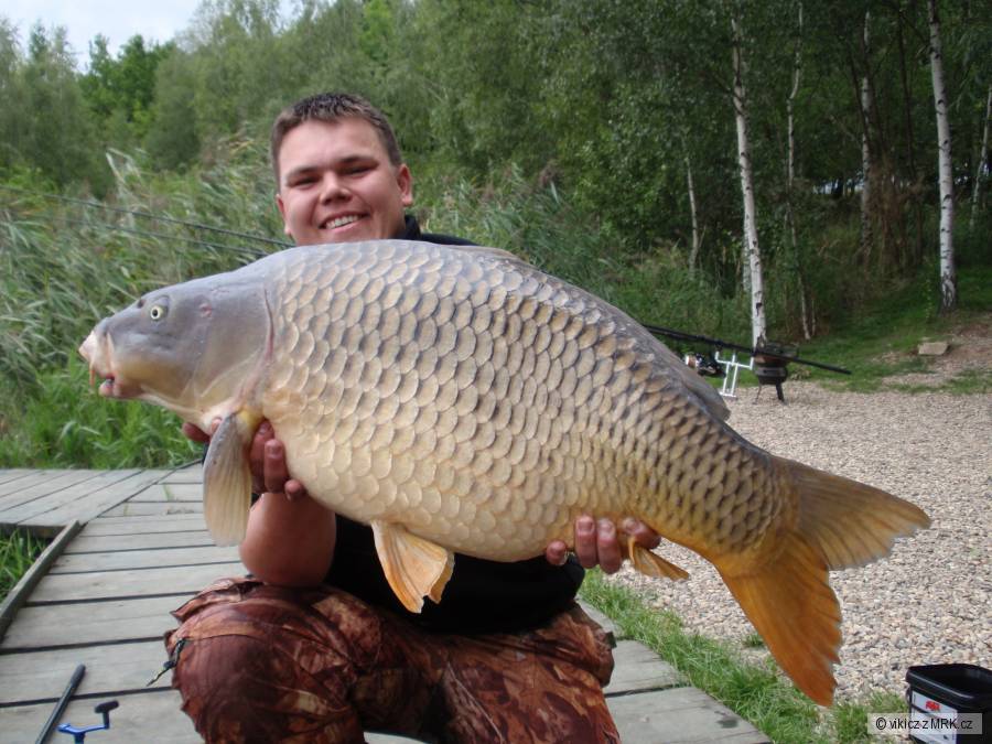 15kg