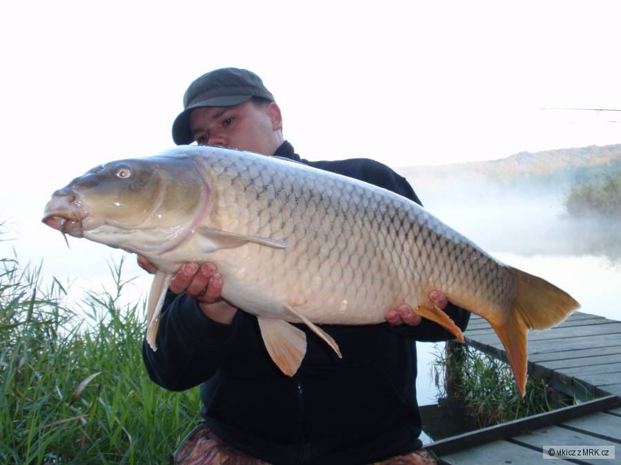 12kg