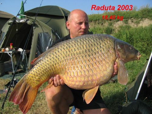 Raduta