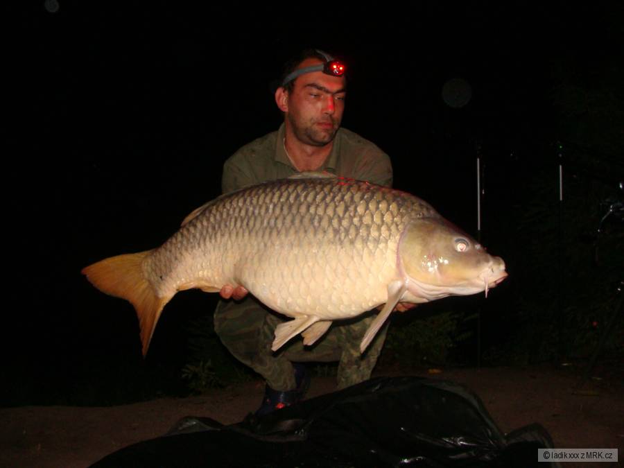 Fiume PO