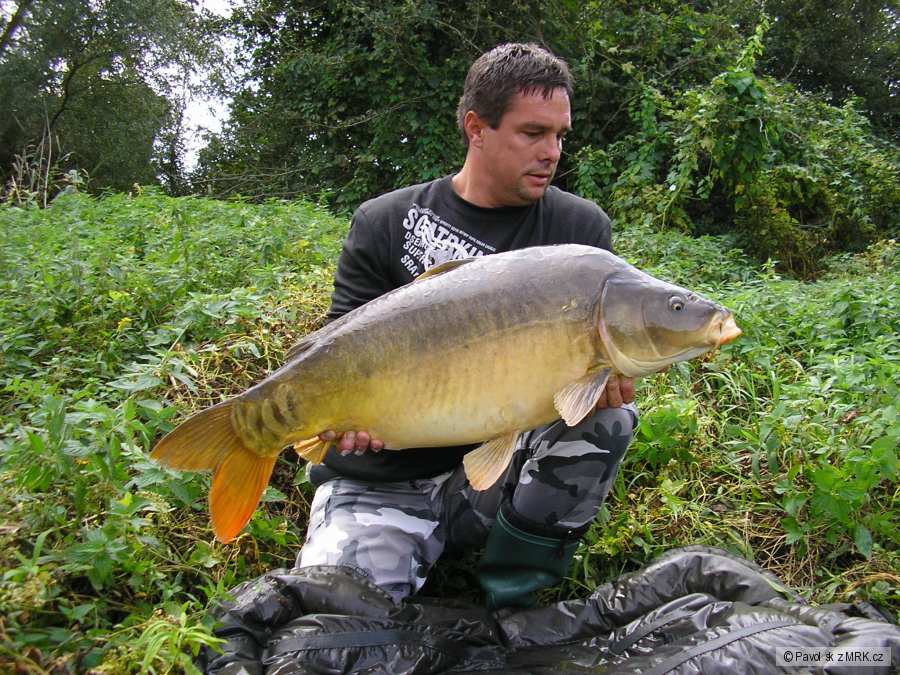 91cm 15,50kg