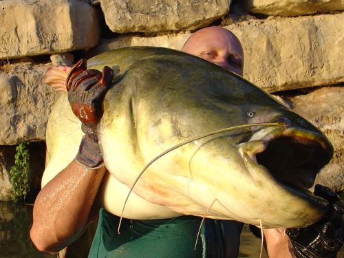 Ebro sumci