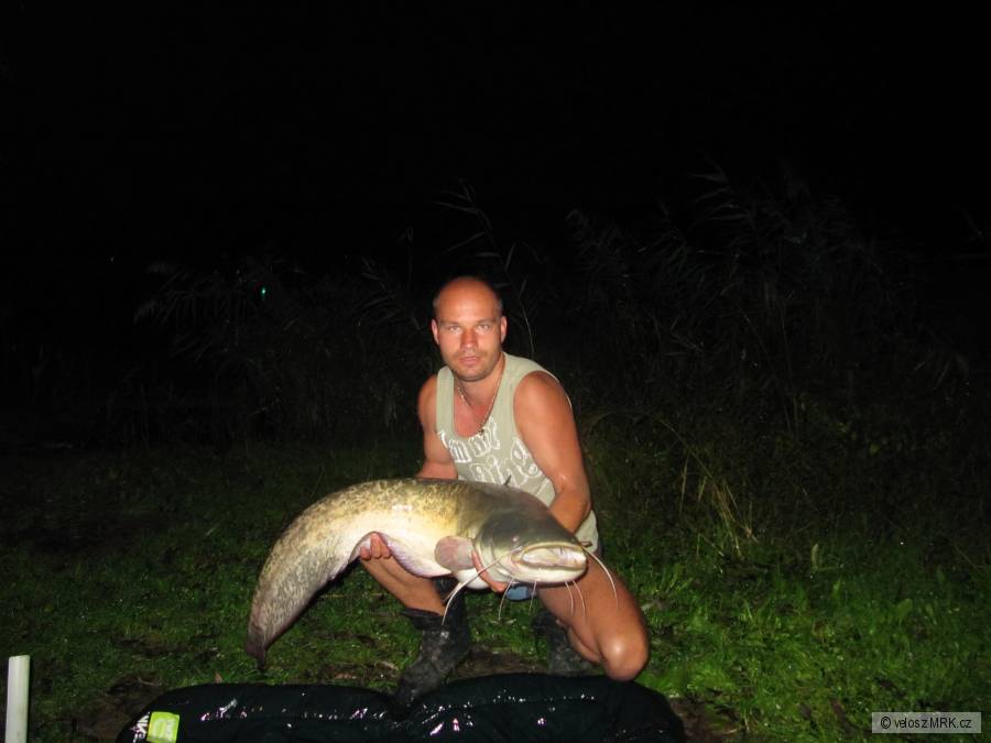 20kg,140cm, Merenye Madarsko