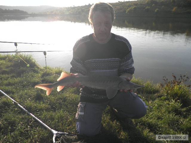 Jestřabice