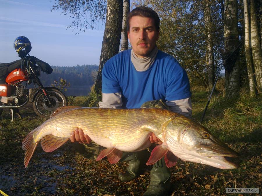 ŠTIKA 117 CM, 15 KG