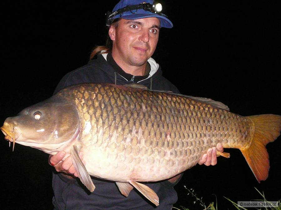 Dyje 5 boilies Lastia 91cm 15,1kg