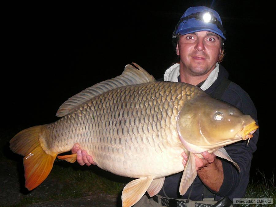 Dyje 5 boilies Lastia 83cm 13kg
