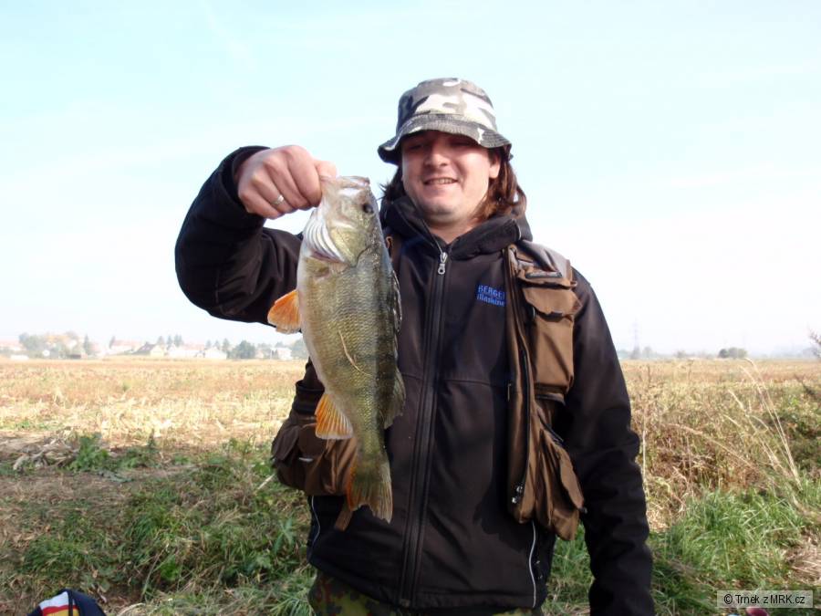 okoun 38cm