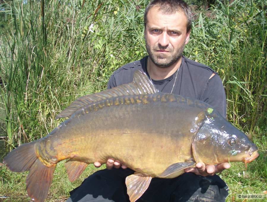 www.liscijezero.cz