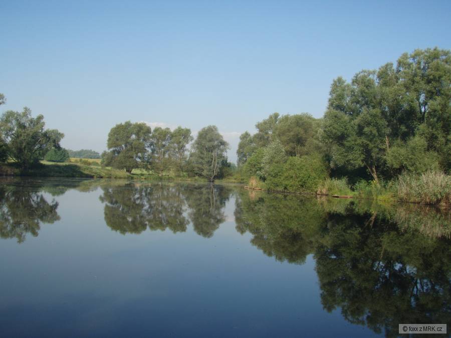 www.liscijezero.cz