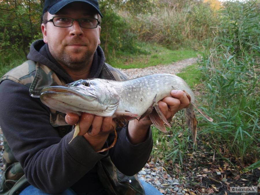 www.liscijezero.cz