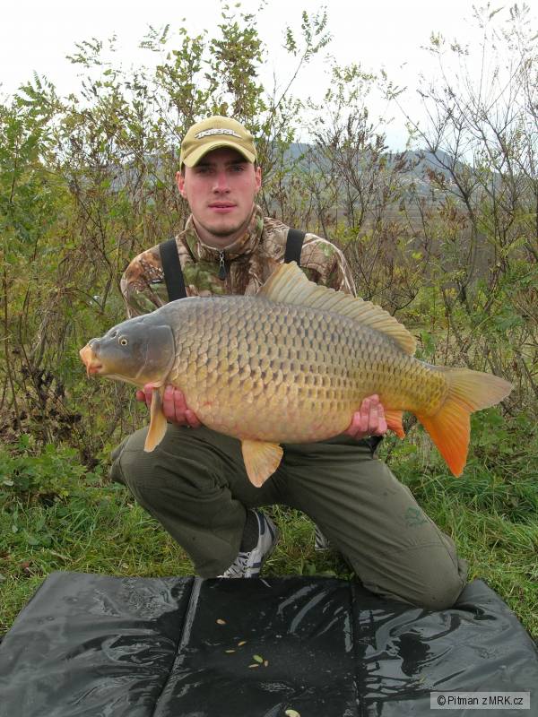80cm - 12kg