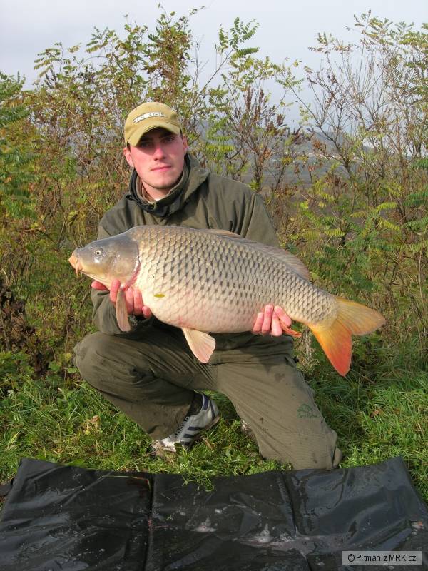 74cm - 9kg