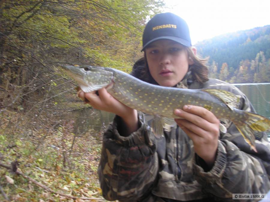 štika 54 cm