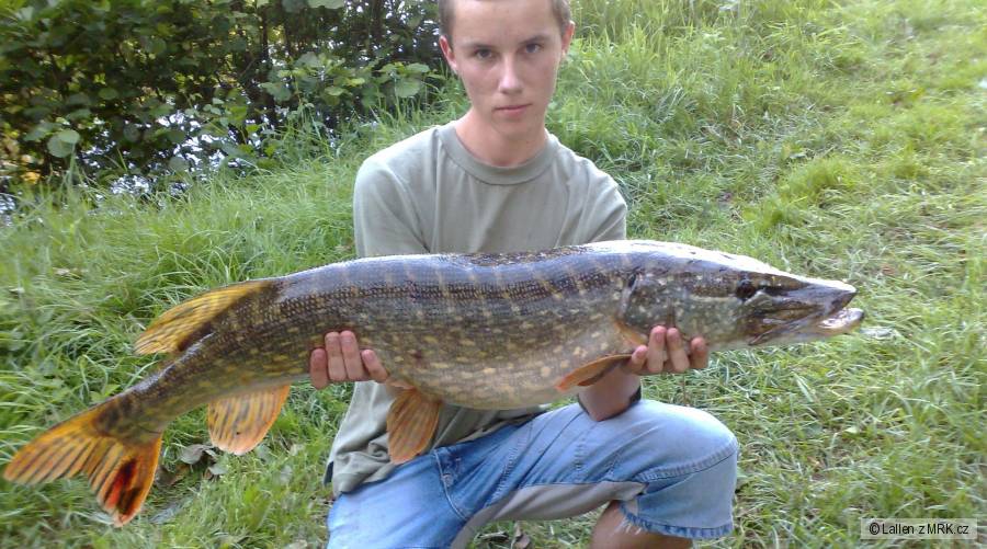 Krááska