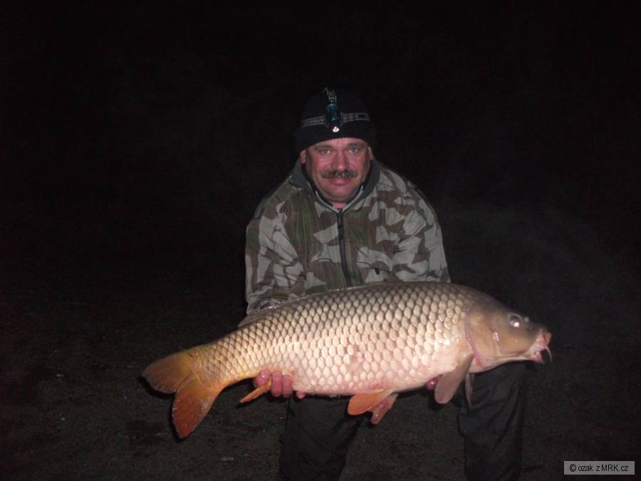 90 cm , 14,5kg nočí lov