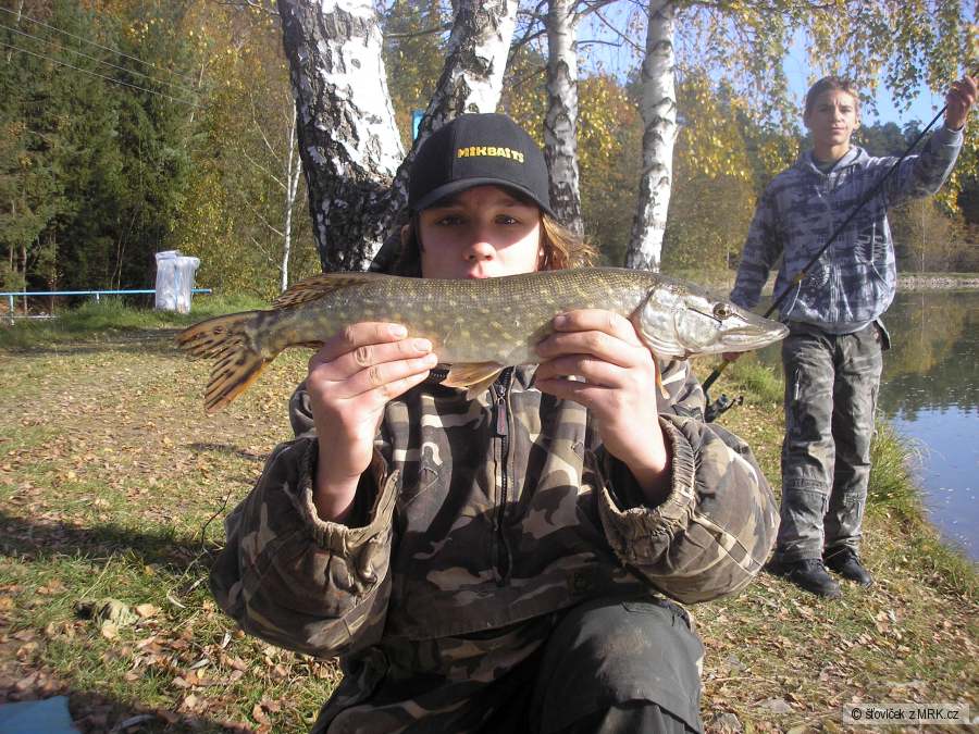 štička 55 cm