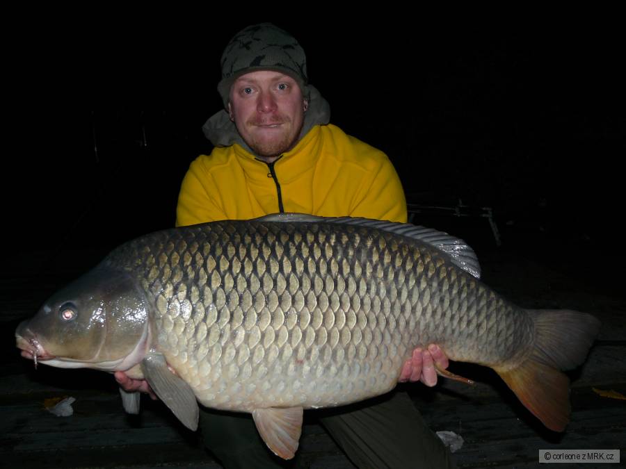 21 kg