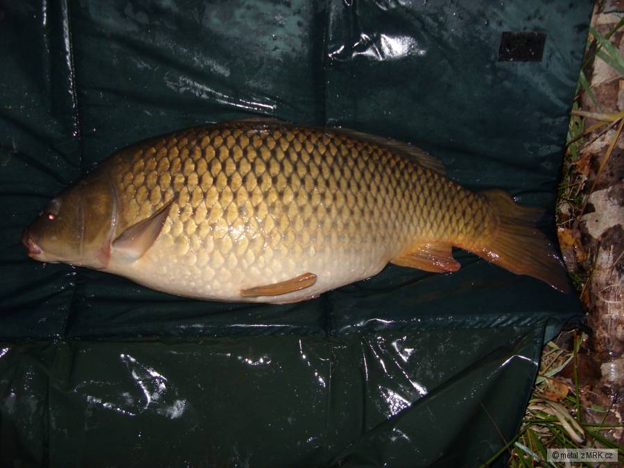 29.10 2010 svazovka