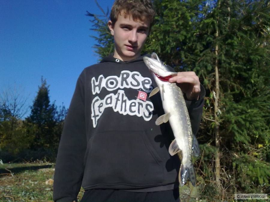 Štička