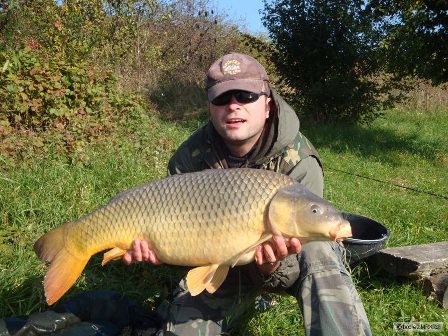 Carp 91cm a 12,1kg
