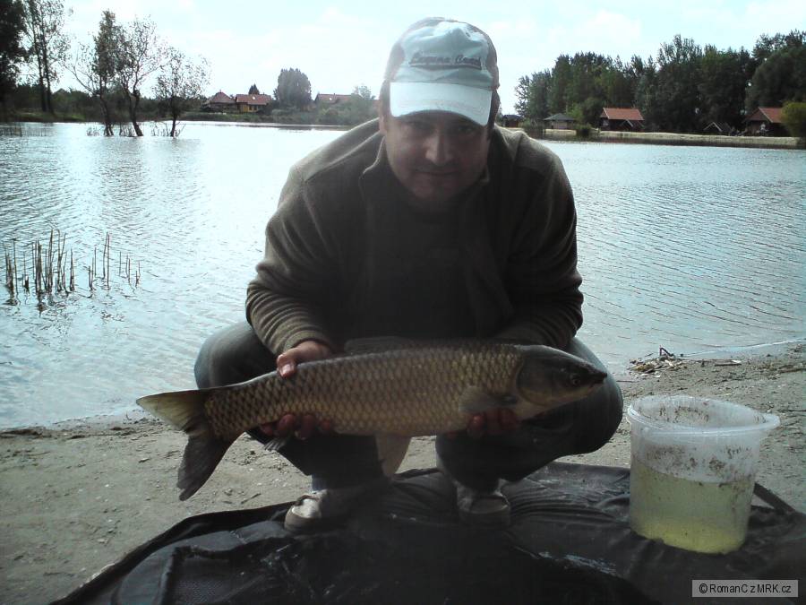 Amur na feeder.