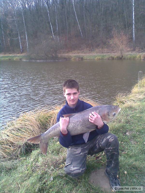 109cm a 17Kg