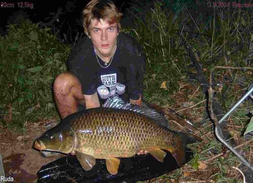 Renyho 80cm a 12,5kg