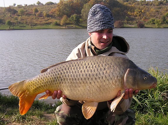 Kapor 83cm 9.30kg