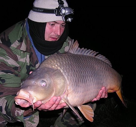 Kapor 84cm 9.00kg