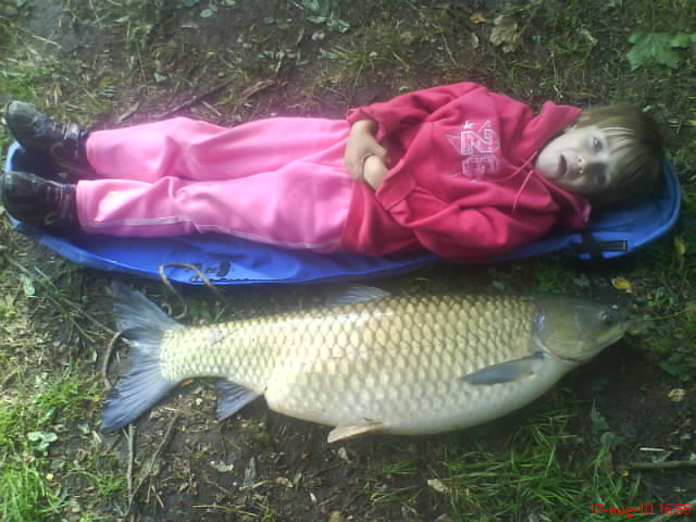 96cm 11,3kg