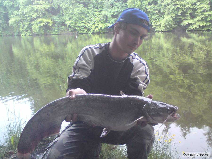 80tka na boilies