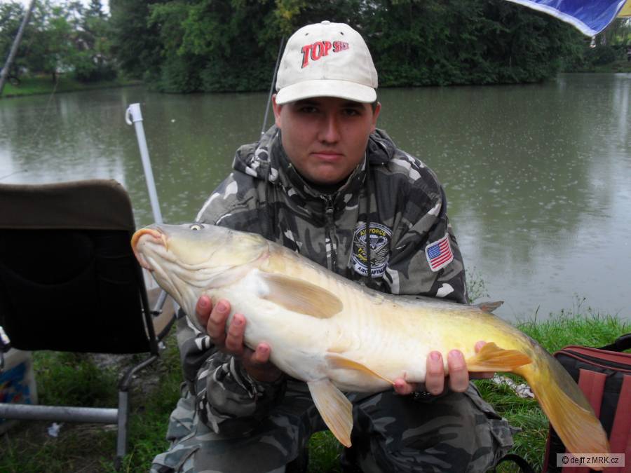 sokolnice podzimní lov chycen na peletky Hali-Hookers 11mm halibut