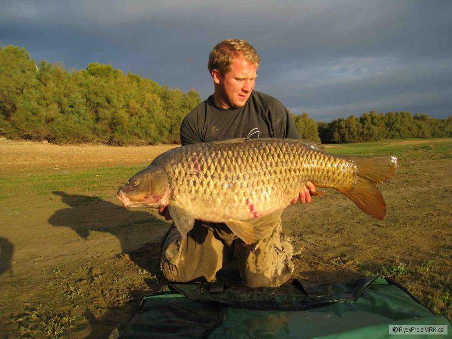 Ebro 21,20 kg