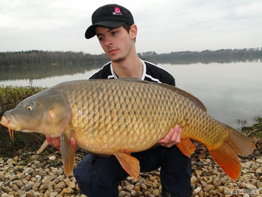 Kapr 92cm 14kg