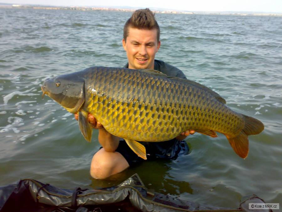 90cm 17kg