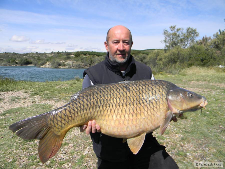 Polední z Caspe