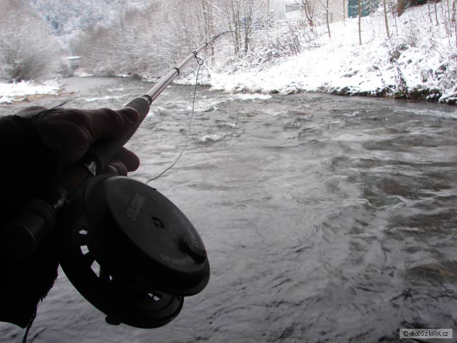 28.11.2010 lipan