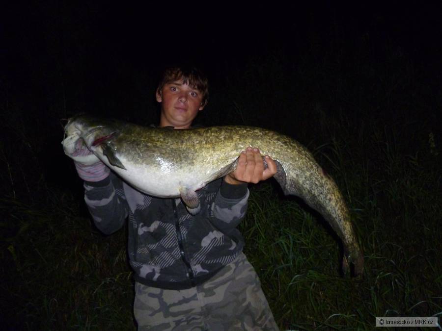 Sumec 115cm