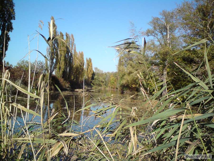 Věnováno Kadaňkum-Holásky