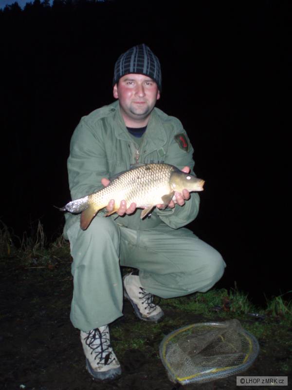 Feeder na Lu�nici