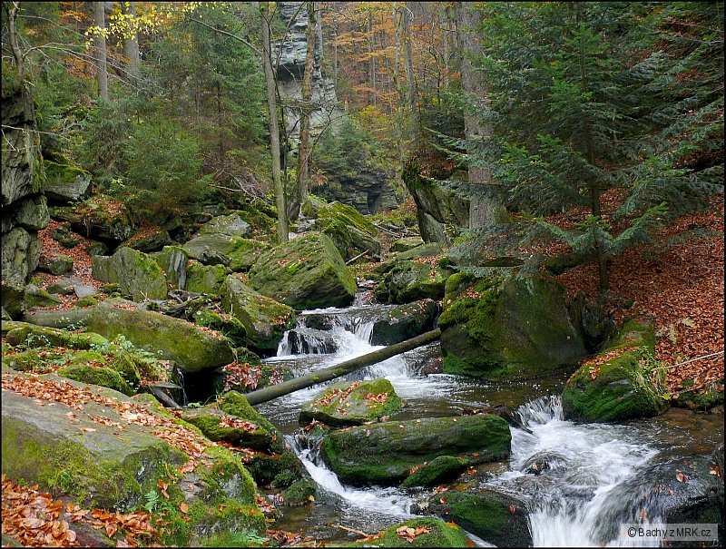 Rešovské v.